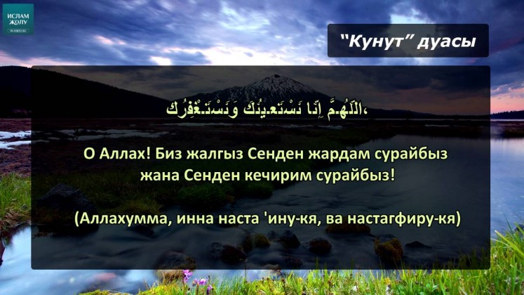 Кунут дубасы картинка